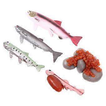 1 Set Ocean Animal Simulation Toys Home Living Room Office Craft Ornaments