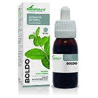 Boldo Extract (XXI Formula) 50 ml