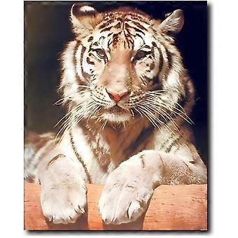Gallery Tiger Decor White Bengal Close-up Wildlife Feline Animal Jigsaw Puzzle GYU430