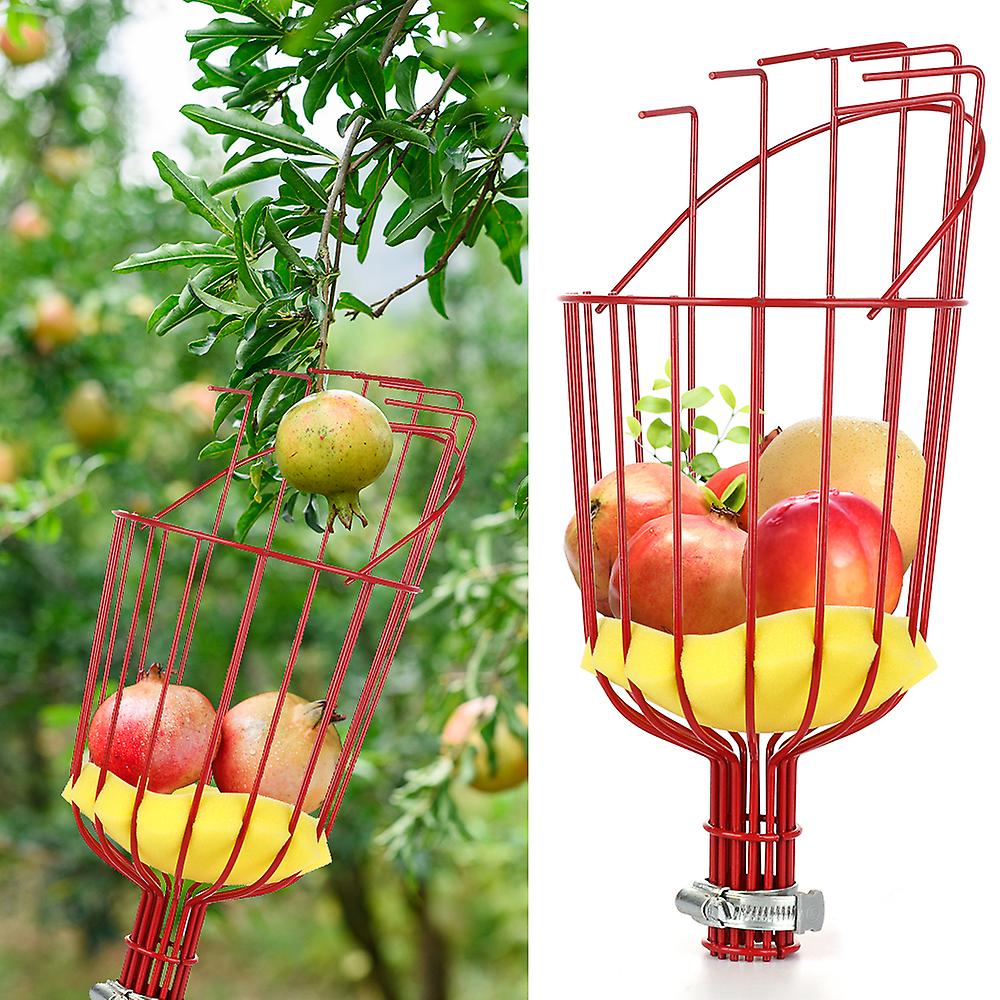 Fruit Picker Tool Fruit Picker Twist-On Harvester Basket For Apples Avocados