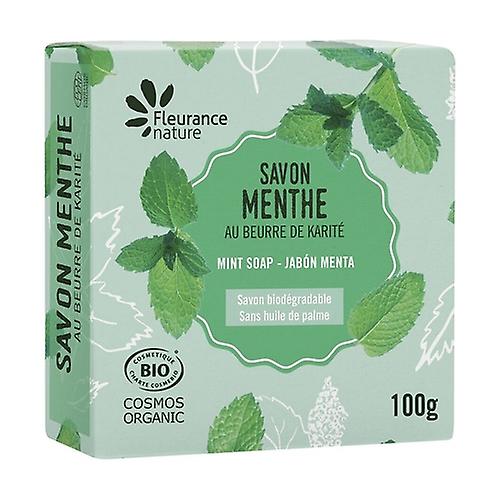 mint scented soap 100 g