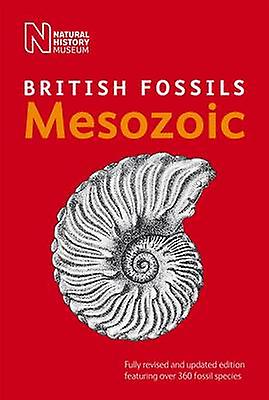 Fossiles du Mésozoïque britannique