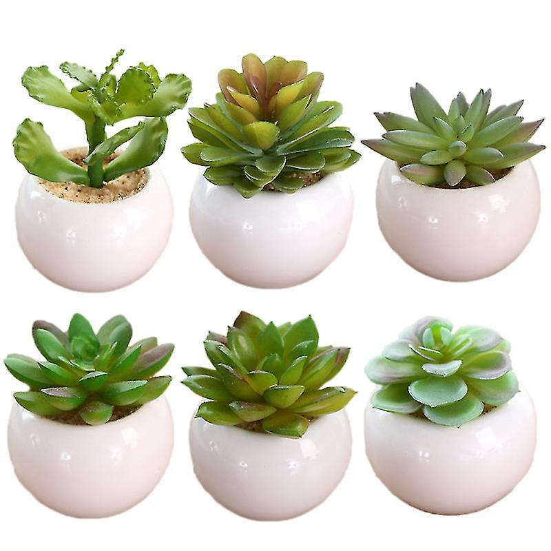 6pcs Potted Plant