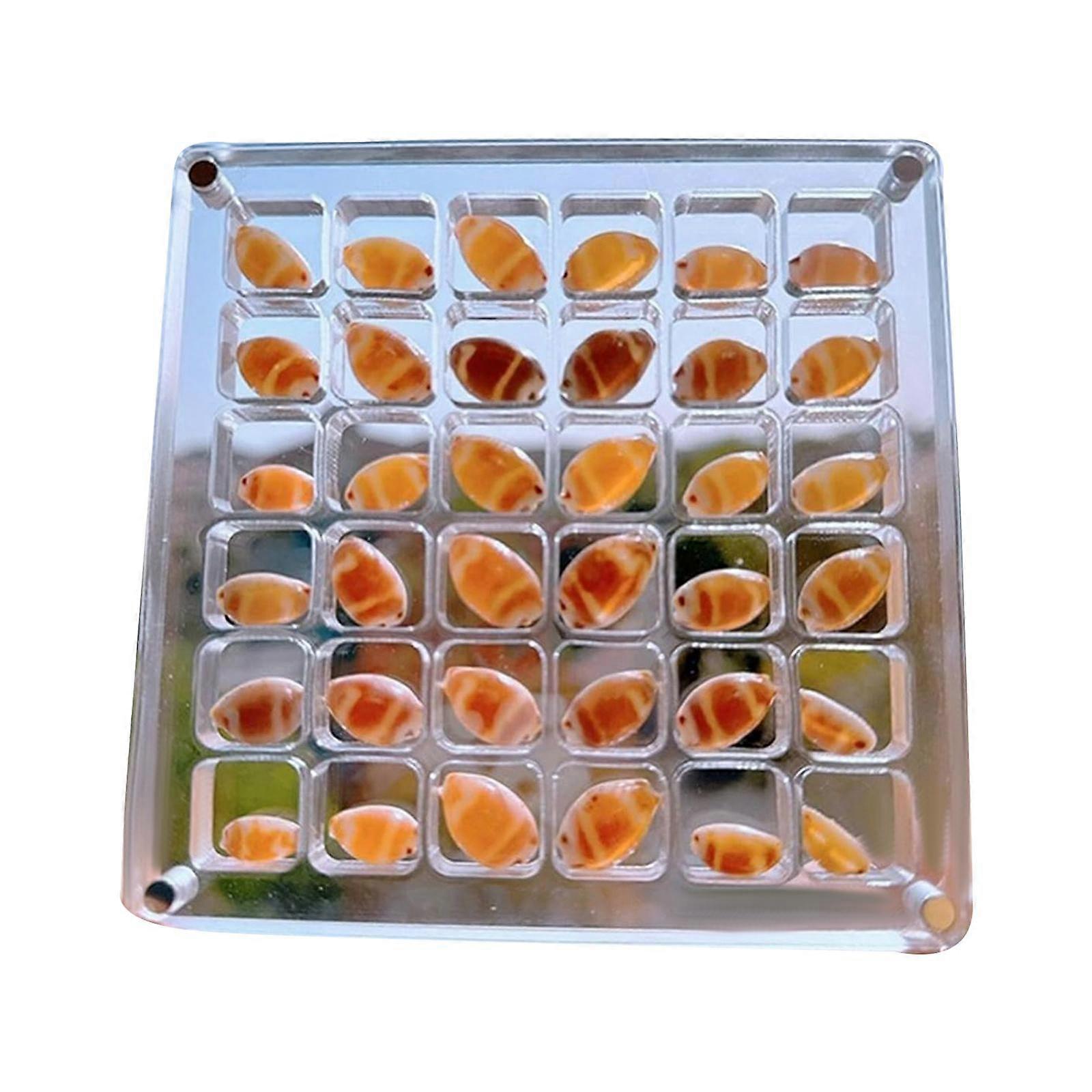 Acrylic Seashell Display Box Seashell Storage Box for Nail Art Jewelry Beads