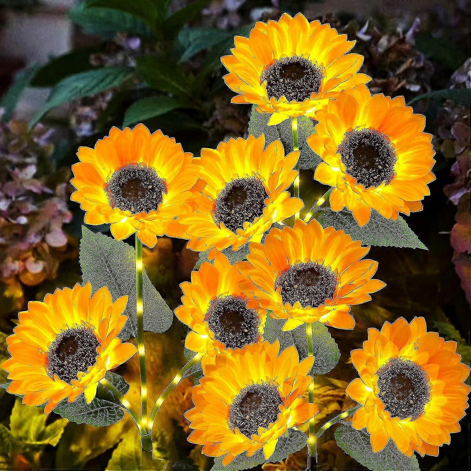 Solar Lights For Outdoor Garden Decor - 3 Pack Y