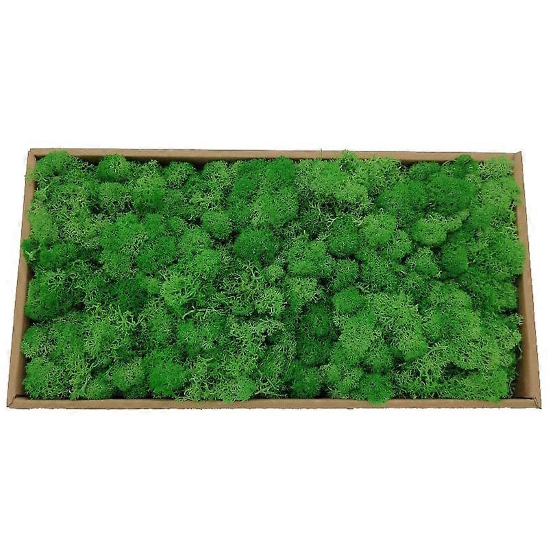 20/40g Kunstige Grønne Planter Evig Liv Mose Gress Hjem Stue Hage Dekorasjon Mini Landskap Falsk Blomst DIY Håndverk