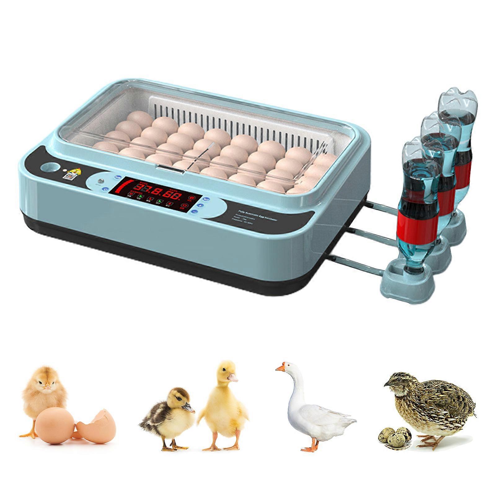 Automatic Egg Turner Blue Utomatic Water Adding Dual Power Supply Plastic With Drawer Eggs Incubator