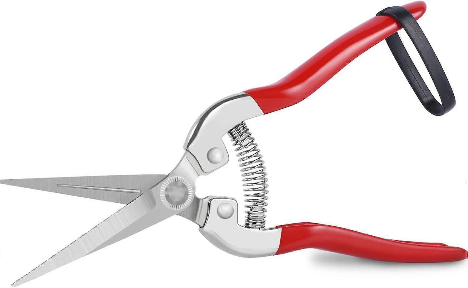 Plant and flower professional pruning shears