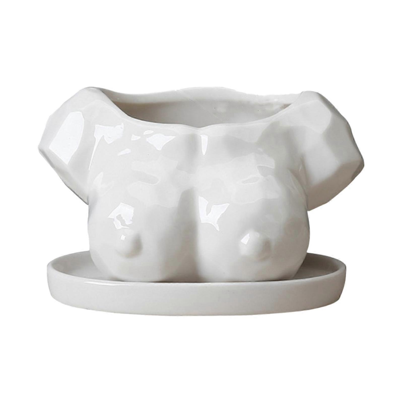 Tabletop Plants Flower Pot Ornament