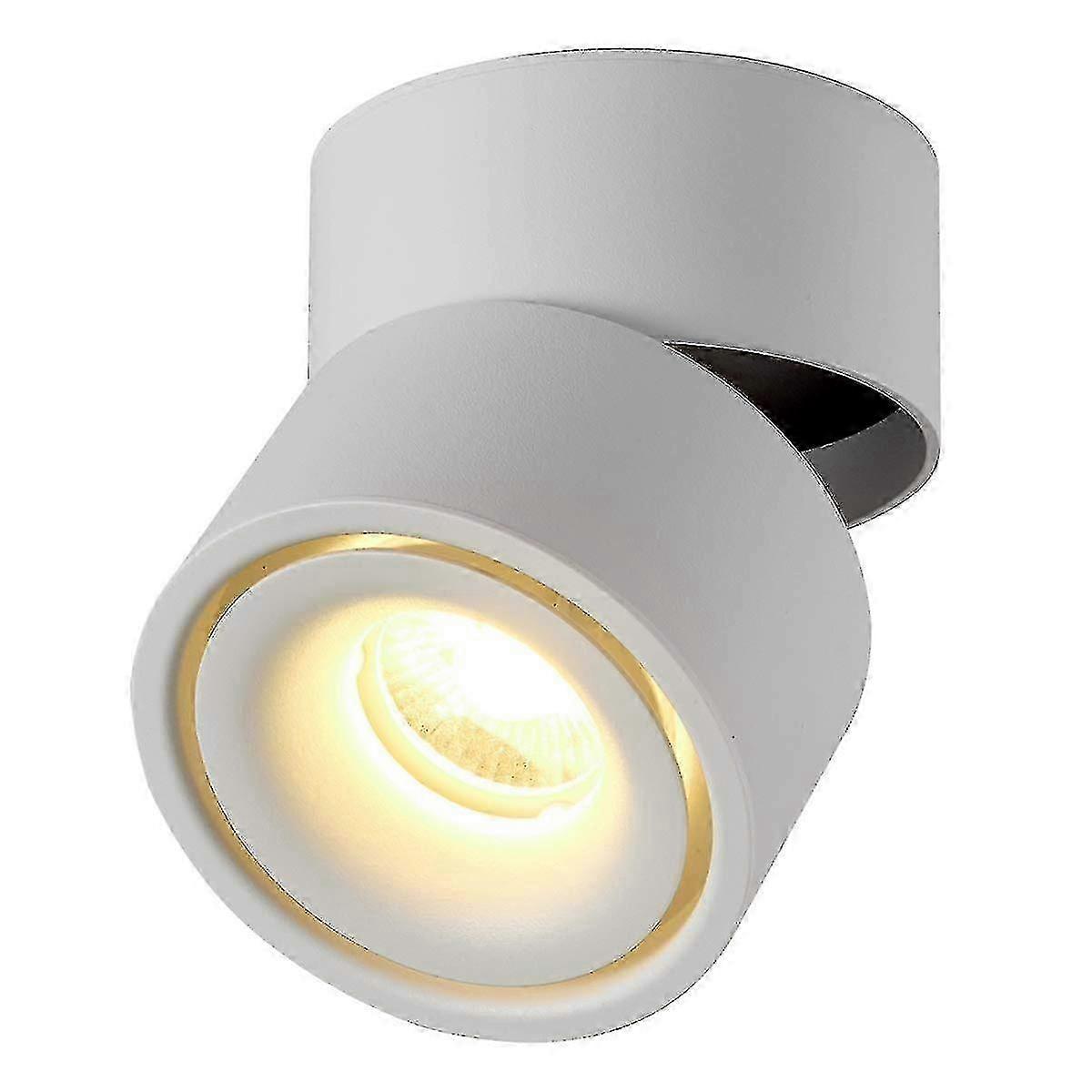 10W LED Surface-Mounted Ceiling Light, Spotlights, Wall Lights, Floodlights