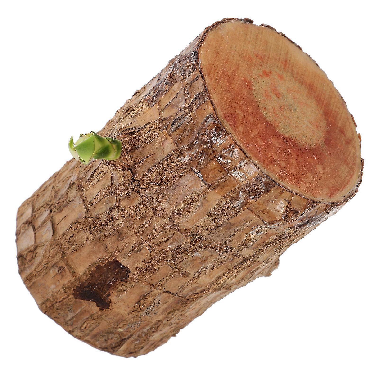 Brazilian Wood Stump Decor, Effortless Maintenance with No Soil Needed