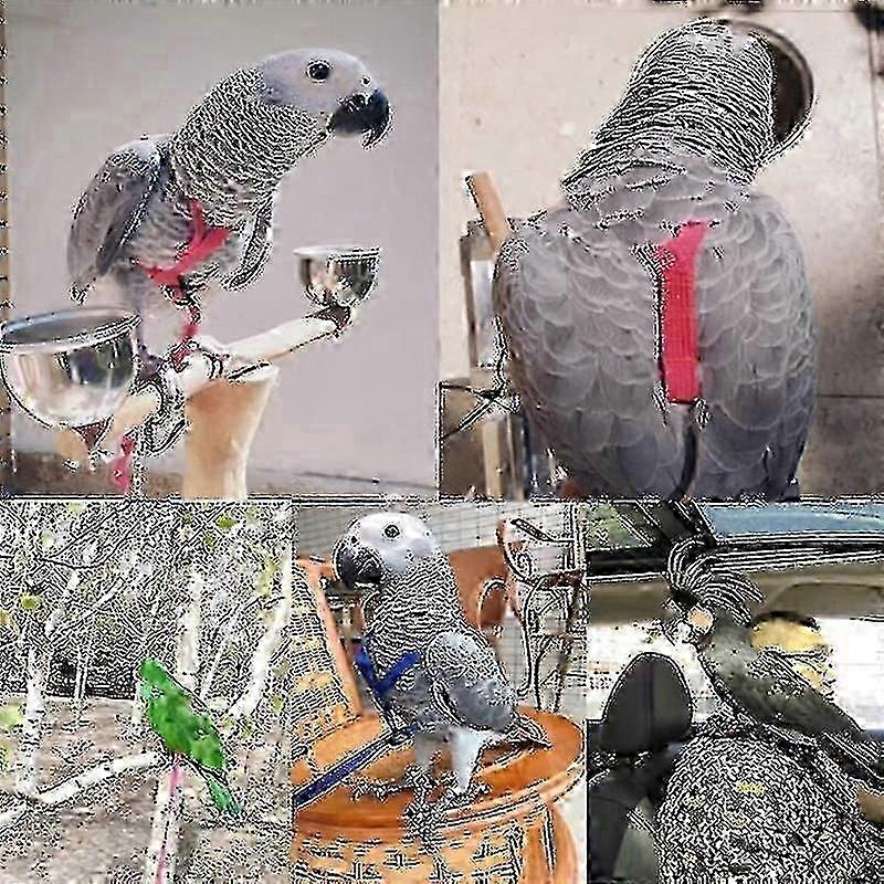 Bird Harness Leash for Outdoor Flying Adjustable Anti-bite Training Rope