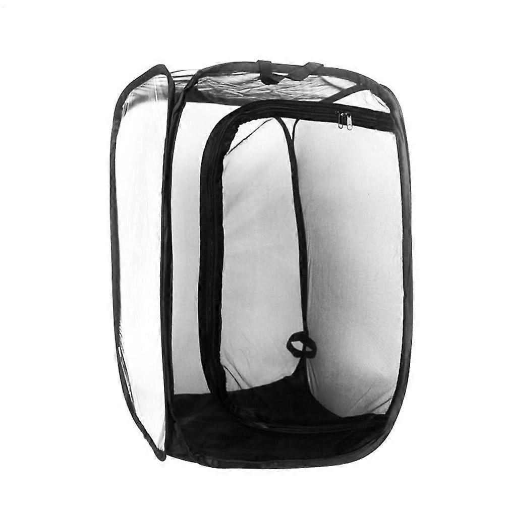 Insect and Butterfly Cage, Foldable Mesh Terrarium for Caterpillars and Airflow, Portable Pop-Up Insect Habitat