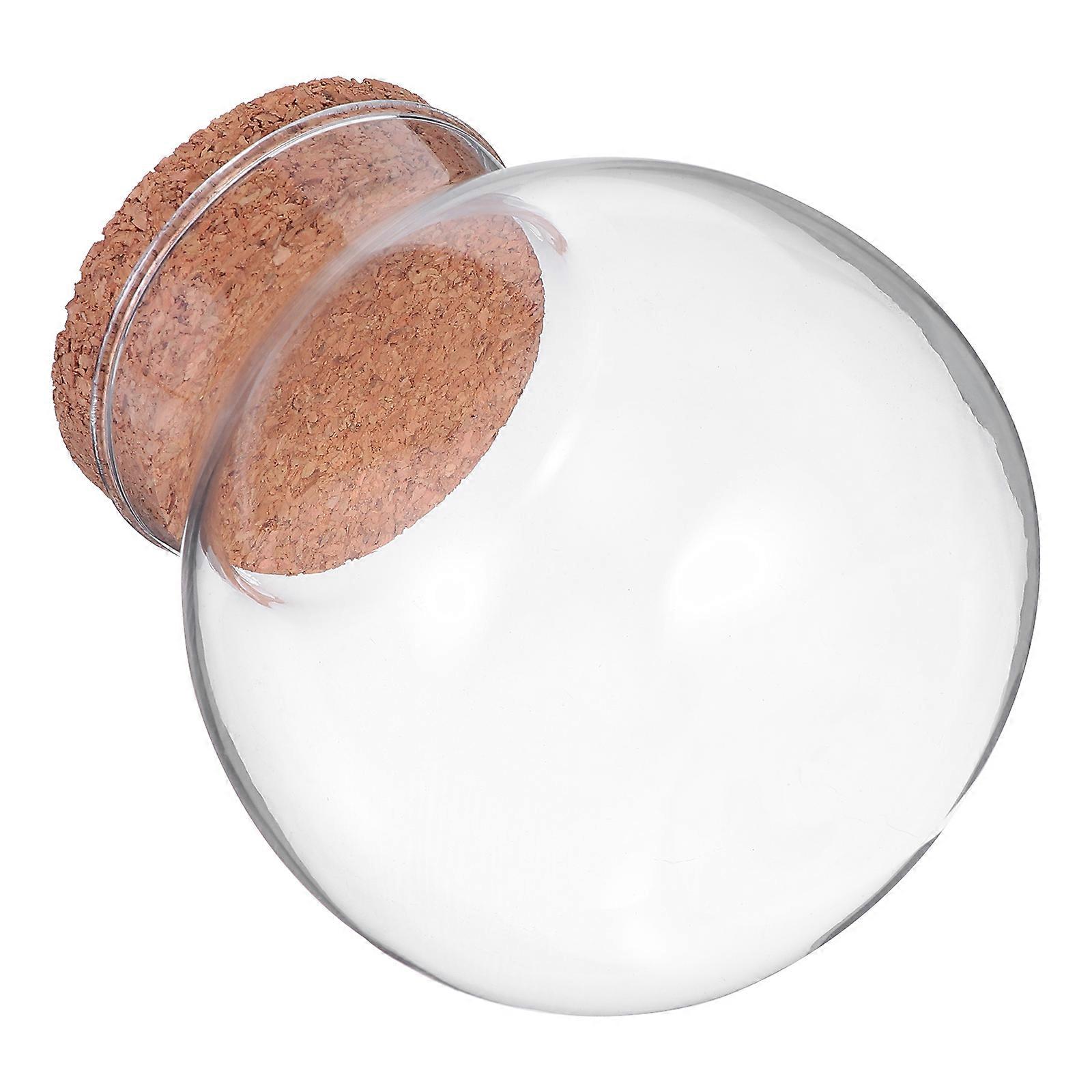 1Pc Clear Glass Jar with Creative Eco Microlandscape