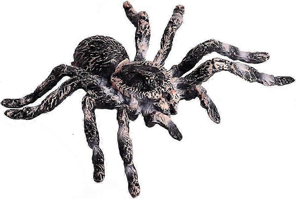 Realistic Animal Figures - Spider Action Model Lifelike Insect Toy Figures - Educational Learning Toys
