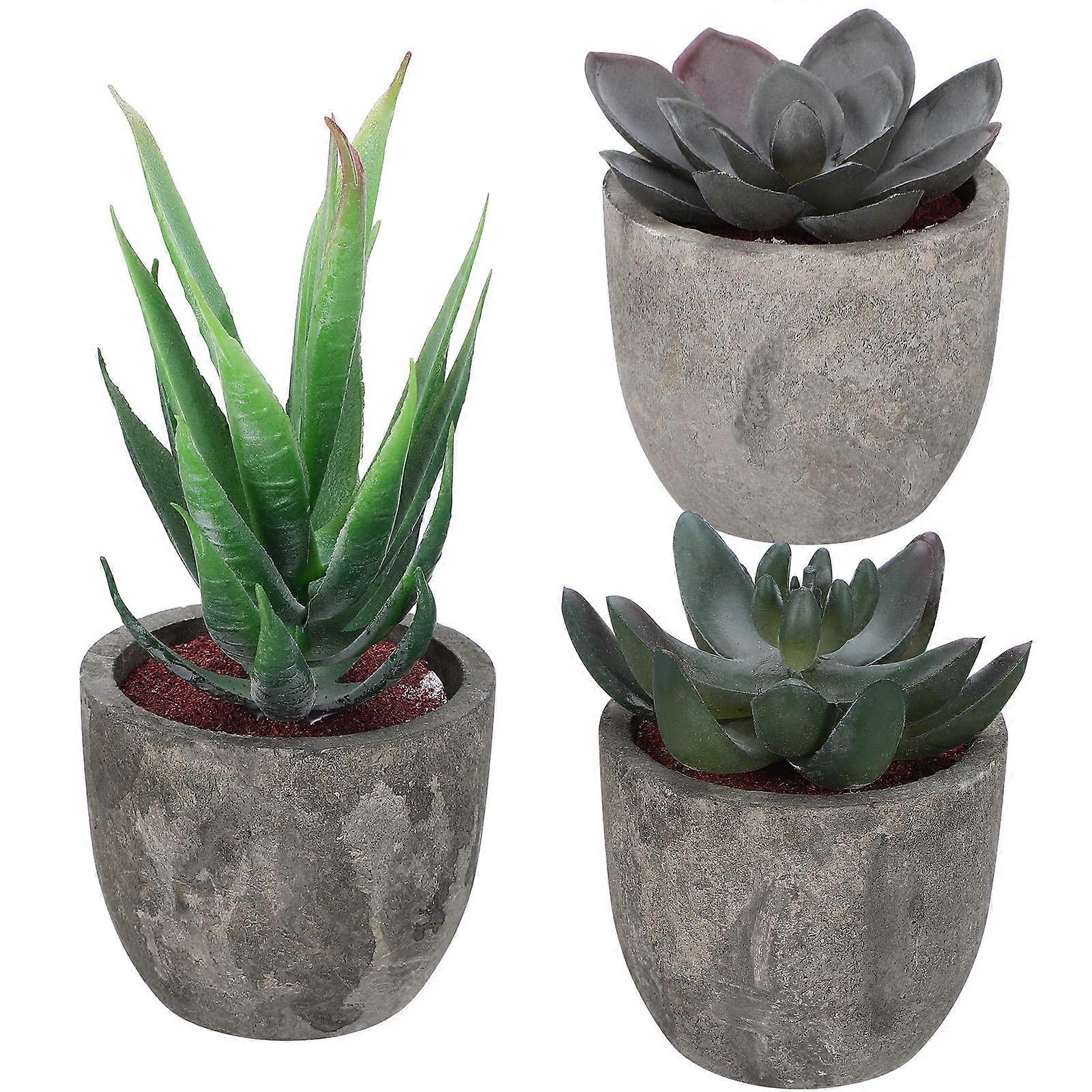 Artificial Succulent Plants 2Pcs Assorted Color Succulents Potted with Pot for Versatile Home Decor