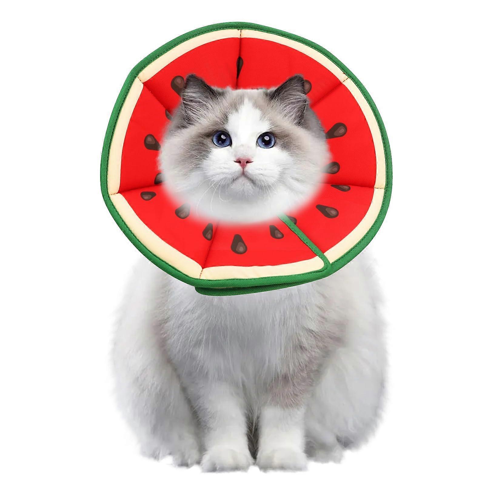 Soft Adjustable Pet Elizabethan Collar for Preventing Licking After Surgery (M)