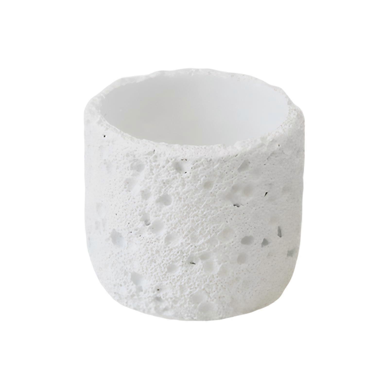 Vintage Cement Succulent Planter with Volcanic Rock Texture for Orchids and Herbs, White