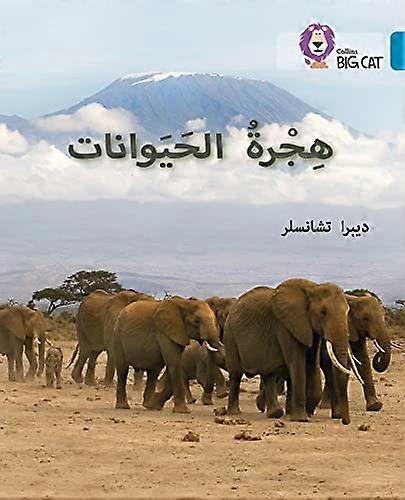 Collins Big Cat Arabic - Animal migration: Level 13