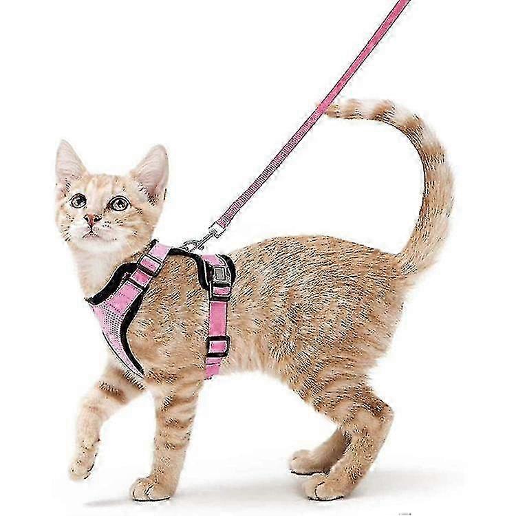 Secure Four-Strap Cat Walking Harness