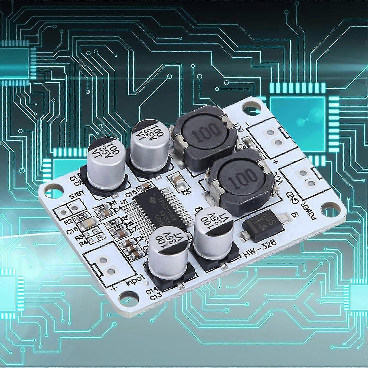 30W Compact Mono Amp Board