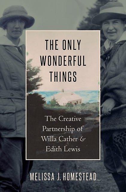 The Only Wonderful Things by Homestead & Melissa J. Professor of English & Professor of English & University of NebraskaLincoln Paperback Book
