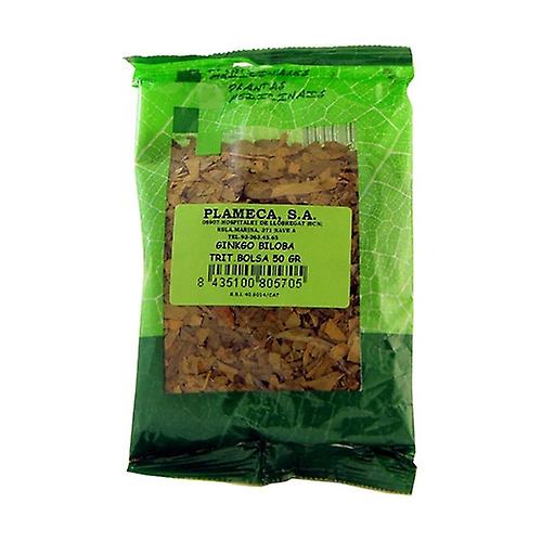 Shredded Ginkgo Biloba Extract 50 g