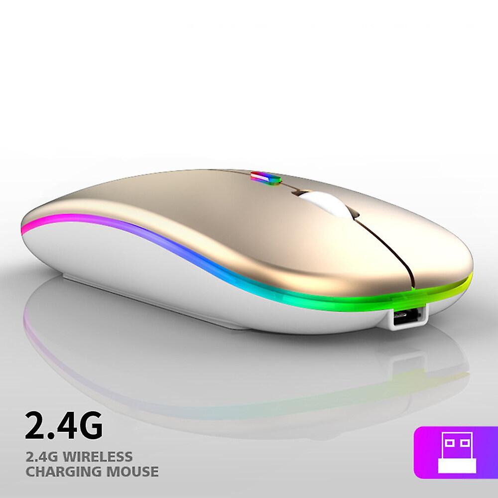 Souris sans fil rechargeables 2.4G Souris silencieuses ultra minces 1600DPI RGB LED Souris ergonomique pour Windows2000 / XP / Vista / Linux / 7 / MAC