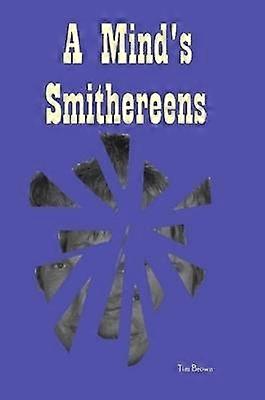 A Mind's Smithereens