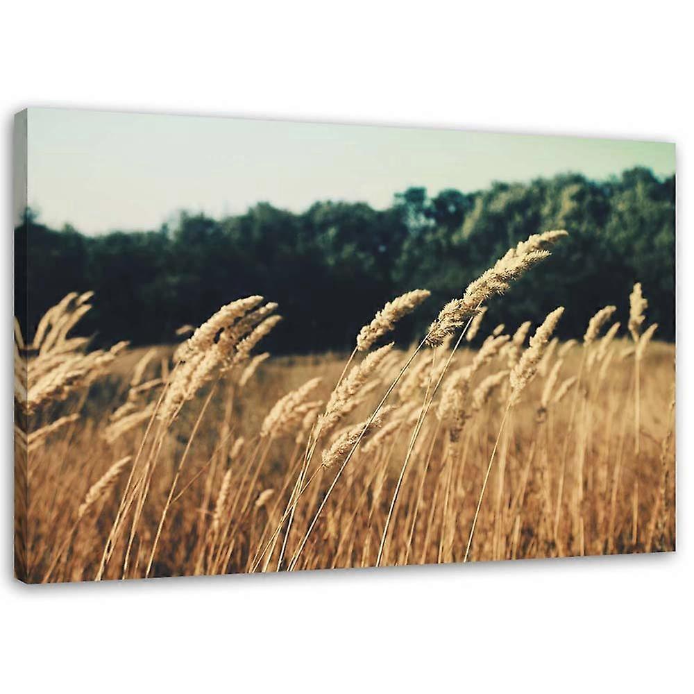 Impression sur toile, Céréales mûres - 120x80