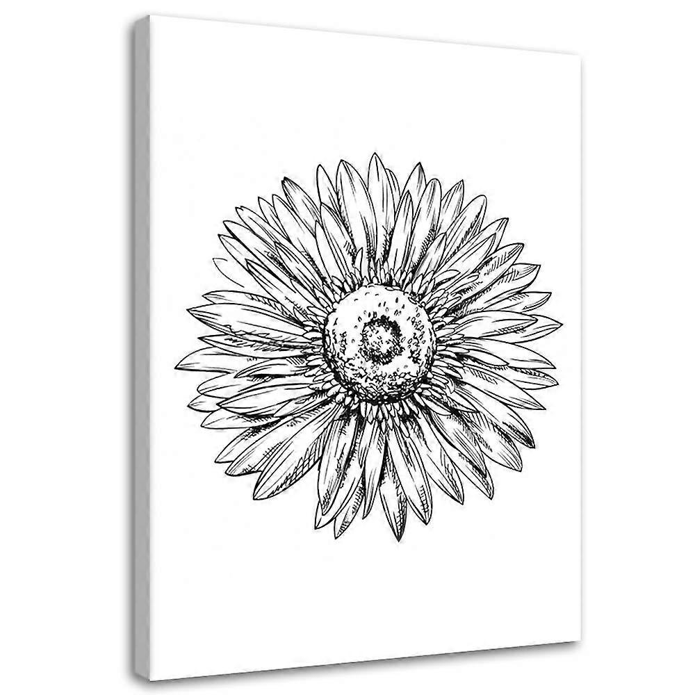 Lienzo, Boceto de una flor - 80x120