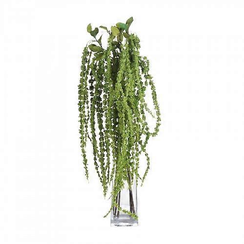 Hill interni finto Amaranthus