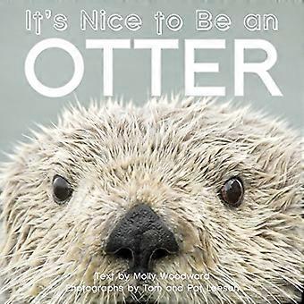 Es ist schön, ein Otter