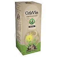 Cefavin olosvita headache 50 ml