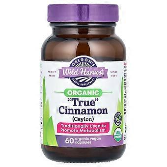 Oregon's Wild Harvest, Organic "True" Cinnamon (Ceylon), 60 Organic Vegan Capsules (450 mg per Capsule)