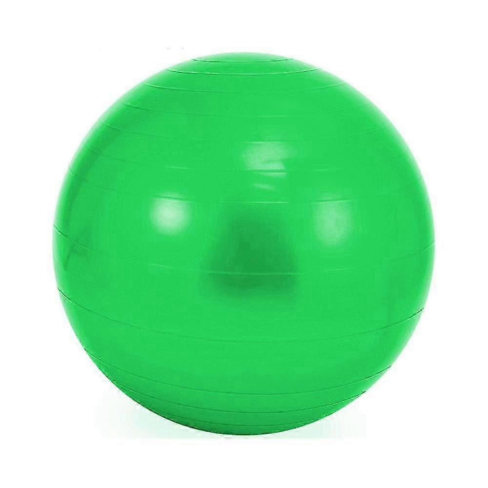 65cm Rehab Balance Training Ball