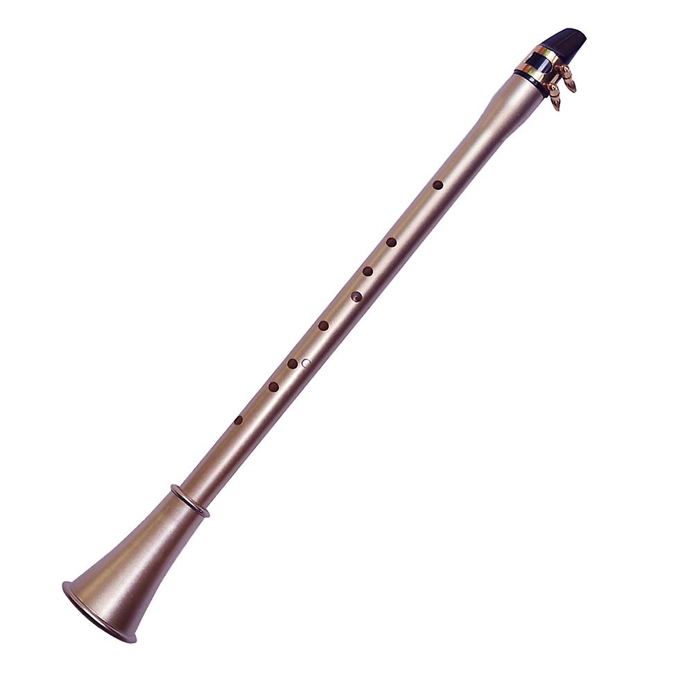 Sassofono Tascabile Abs Sax Mini Sassofono Portatile Sassofono Piccolo Sassofono