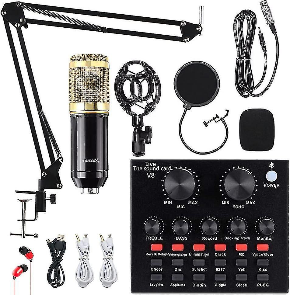 Bm-800 Microphone Kit With Live Sound Card