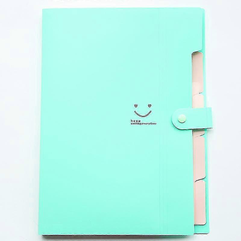 Extended Document Folder A4 Size File Manager With 5 Pockets