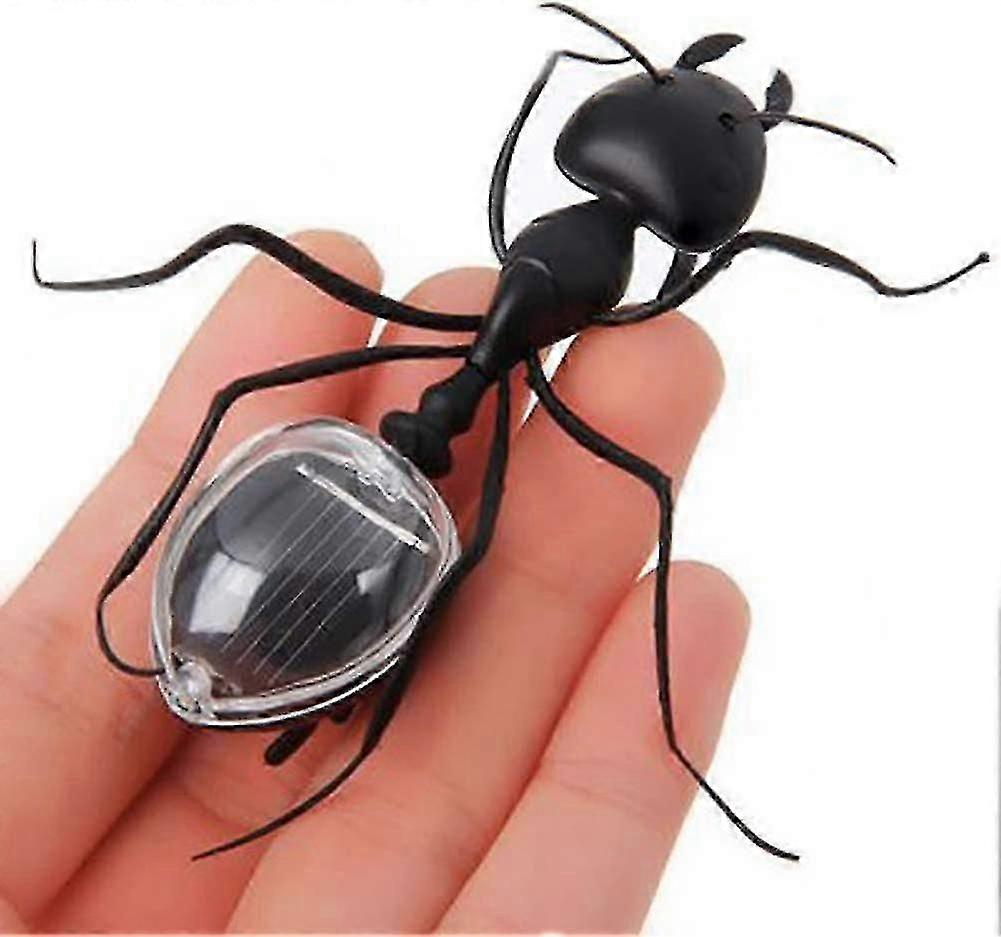 Solar Powered Educational Toy for Kids - Comfortable and practical educational toy.