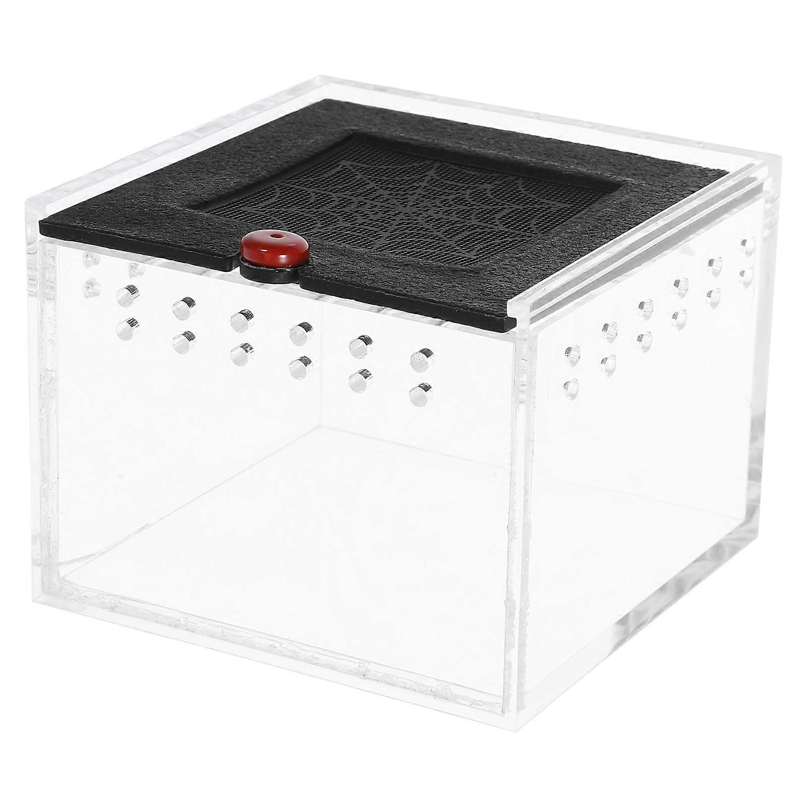 1PC Acrylic Reptile Feeding Box Breeding Box for Scorpion Gecko