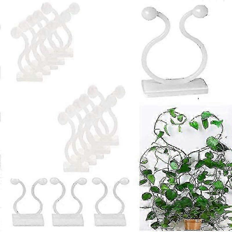 50 stycken klätterväxtklämmor självhäftande