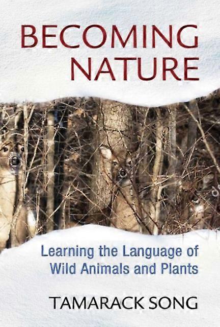Becoming Nature by Tamarack Song Paperback