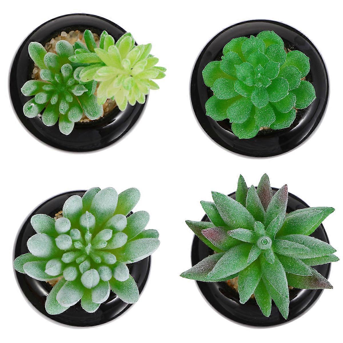 Simulation Micro Succulents Mini Potted Bonsai for Decor 8Pcs Black Ceramic