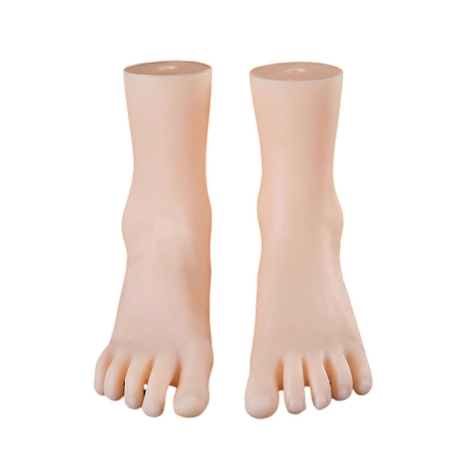 1 Pair Teaching Aid Foot Prototype Simulation Foot Replicas PVC Texture Perfect for Shoe Exhibition Anatomy Learnin Multicolor