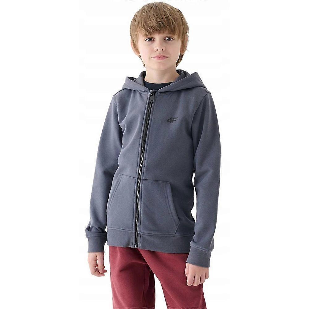 Sweatshirts 4F M1295