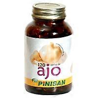 Garlic 120 softgels