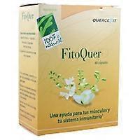 Phytoquer 60 capsules