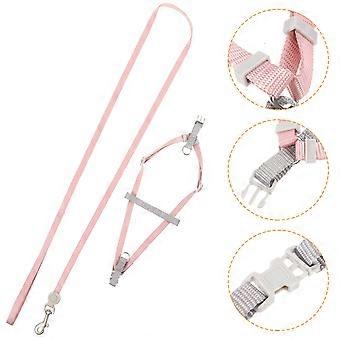 Adjustable Dog Leash and Harness Set for Small Dogs in Assorted Colors