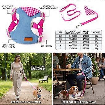 Adjustable Escape Proof Cat and Dog Harness with Leash, Polyester and Alloy, for Small Medium Dogs, Daily Walks, Running, Training